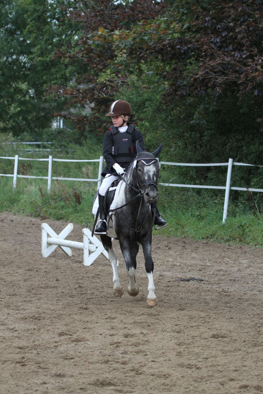 Bild 1134 - WBO-Turnier am 18.9.11